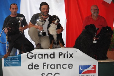 DIXIE et HANOI Grand prix de France d'attelage &copy; elevage du clos de la luette